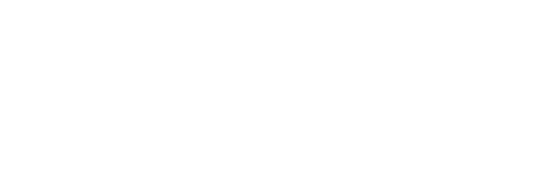 Everything DiSC Authorized Partner Logo_White